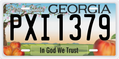 GA license plate PXI1379