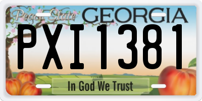 GA license plate PXI1381