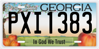 GA license plate PXI1383