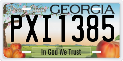 GA license plate PXI1385