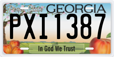 GA license plate PXI1387