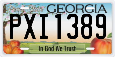 GA license plate PXI1389