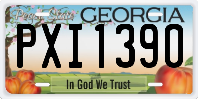 GA license plate PXI1390