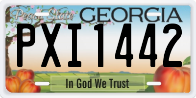 GA license plate PXI1442