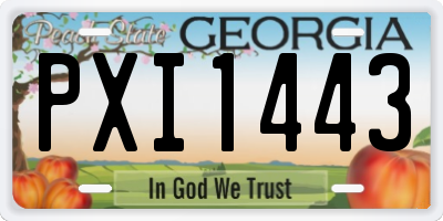 GA license plate PXI1443