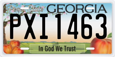 GA license plate PXI1463