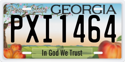 GA license plate PXI1464
