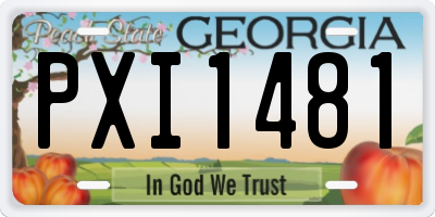 GA license plate PXI1481