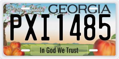 GA license plate PXI1485