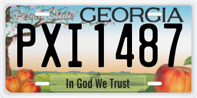 GA license plate PXI1487