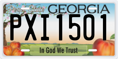 GA license plate PXI1501