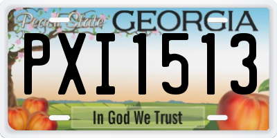 GA license plate PXI1513