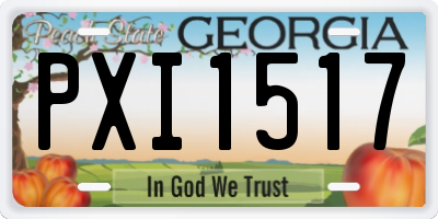 GA license plate PXI1517