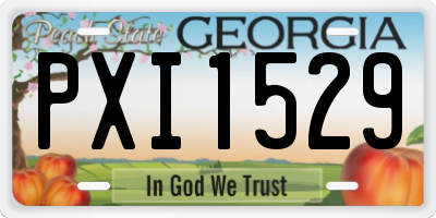 GA license plate PXI1529