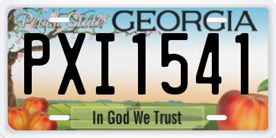 GA license plate PXI1541