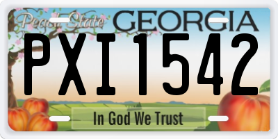 GA license plate PXI1542