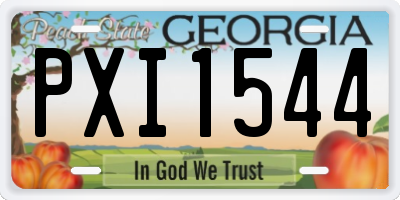 GA license plate PXI1544