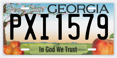 GA license plate PXI1579