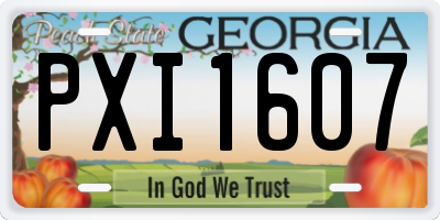 GA license plate PXI1607