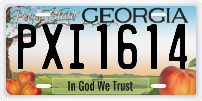 GA license plate PXI1614