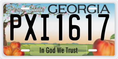 GA license plate PXI1617