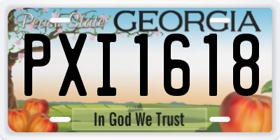 GA license plate PXI1618