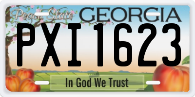 GA license plate PXI1623