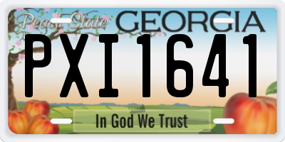 GA license plate PXI1641