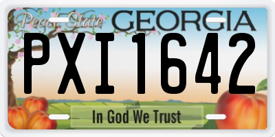 GA license plate PXI1642
