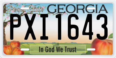 GA license plate PXI1643