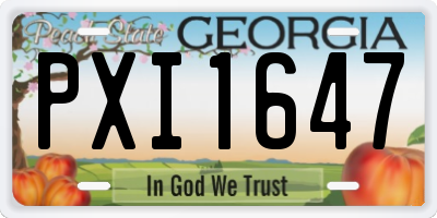 GA license plate PXI1647