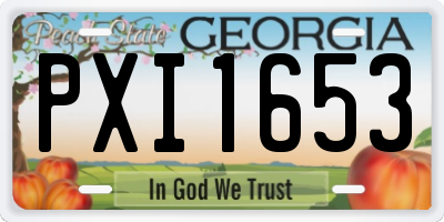 GA license plate PXI1653