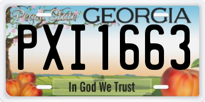 GA license plate PXI1663
