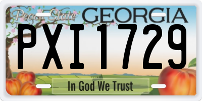GA license plate PXI1729