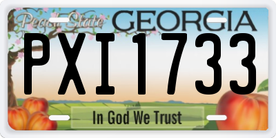 GA license plate PXI1733