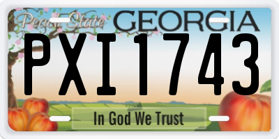 GA license plate PXI1743