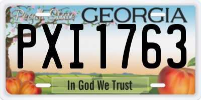 GA license plate PXI1763