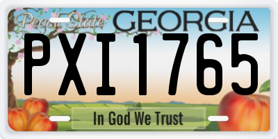 GA license plate PXI1765