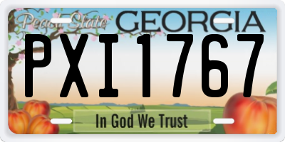 GA license plate PXI1767