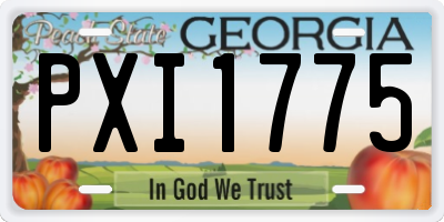 GA license plate PXI1775