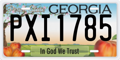 GA license plate PXI1785