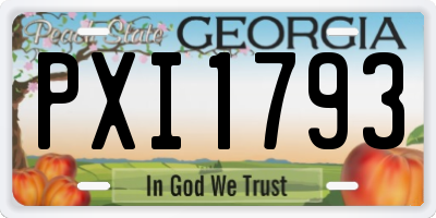 GA license plate PXI1793
