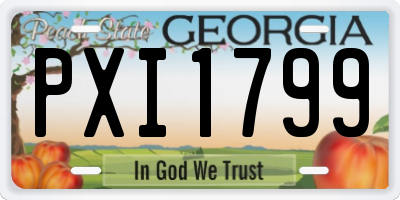 GA license plate PXI1799