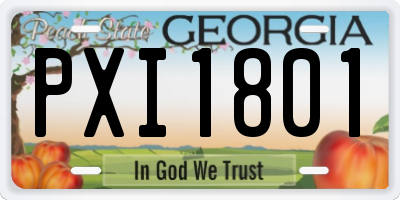 GA license plate PXI1801