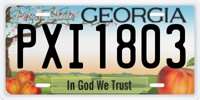GA license plate PXI1803
