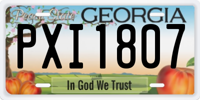 GA license plate PXI1807