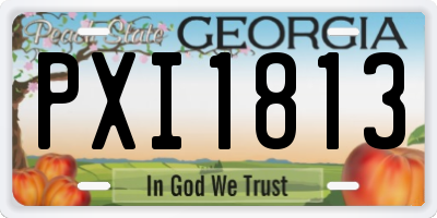 GA license plate PXI1813