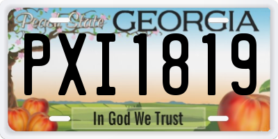 GA license plate PXI1819