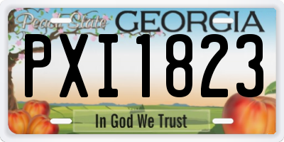GA license plate PXI1823