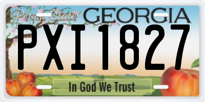 GA license plate PXI1827